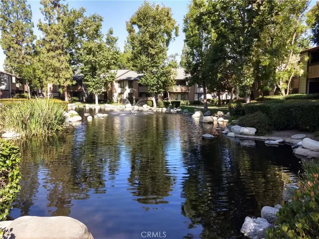 Community lake, a pool in background.