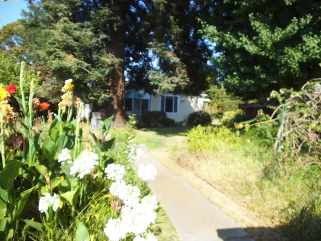 1115 Louise St, San Leandro, California 94578