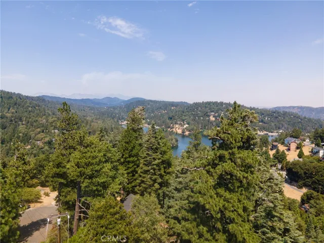Drone View of lake