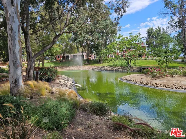Pond in front