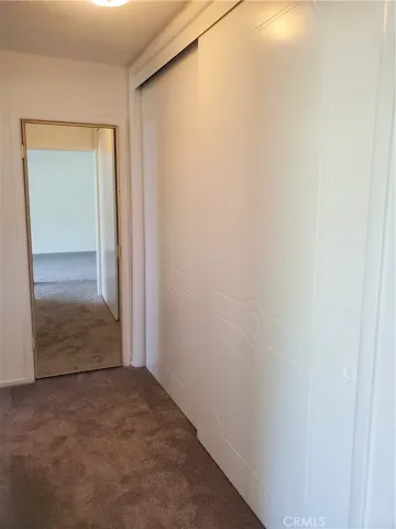 Primary bedroom has a walk-in closet with organizers