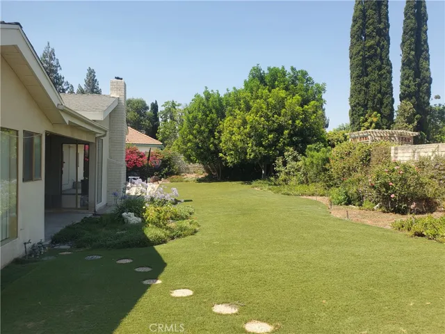 Beautiful backyard area