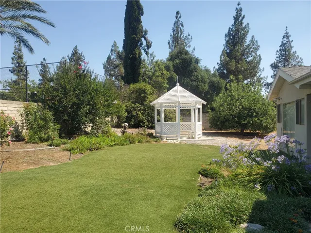 Large yard area