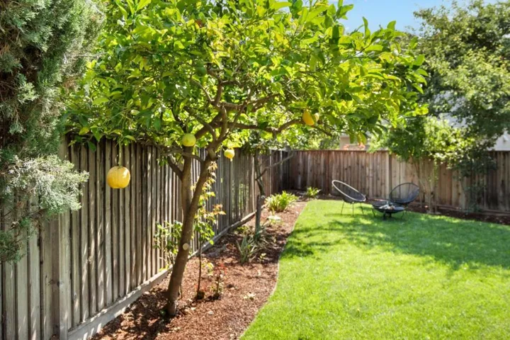 4103 Feafel Drive, San Jose, California 95134