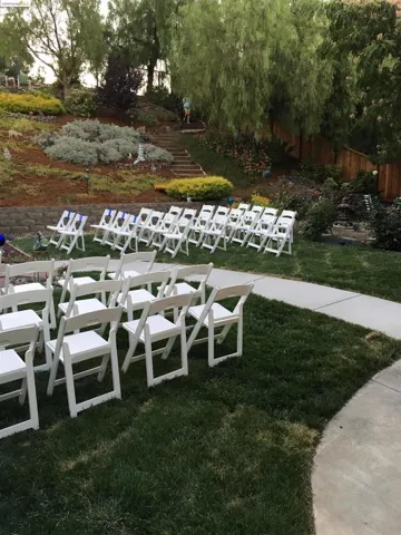 Back yard