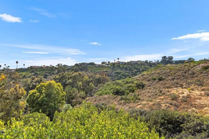 View from back fence