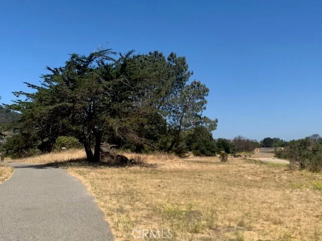 State Park Family Hiking Trail 1