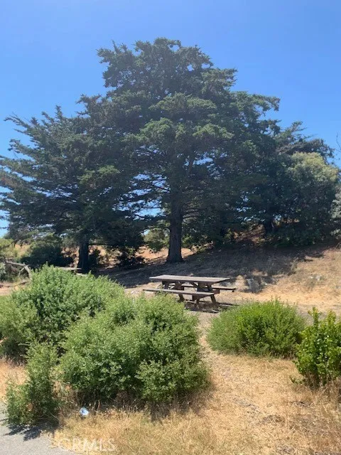 State Park Family Picnic Area 1