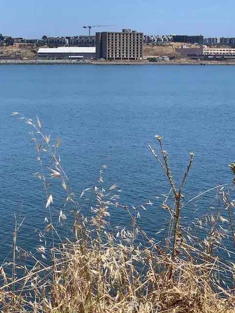 Lot Pic 3