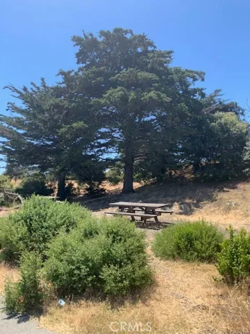 State Park Family Picnic Area 1