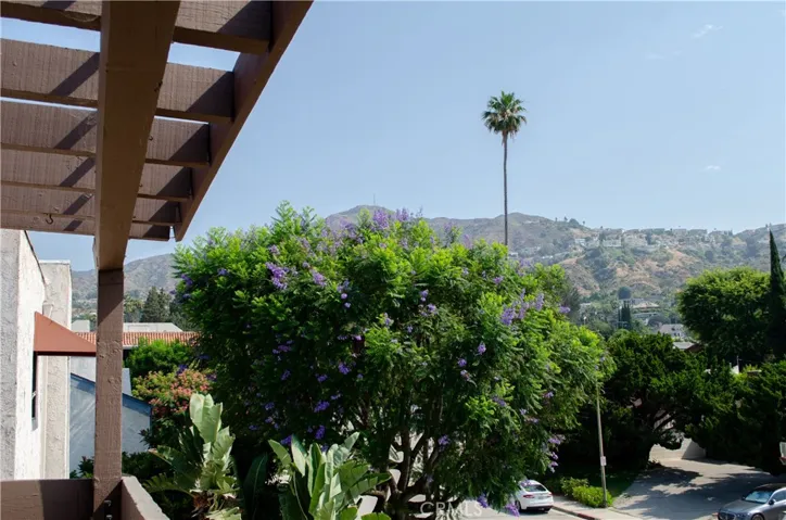 View from Balcony