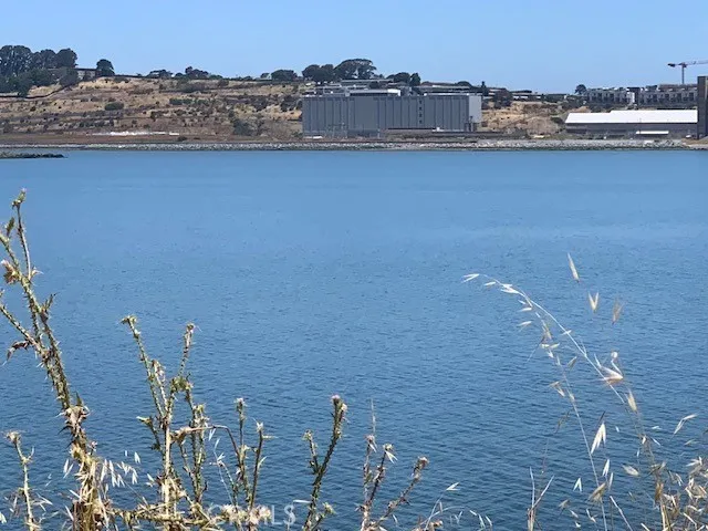 Lot Pic 2