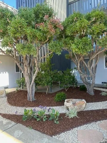 3257 Glendora Drive G, San Mateo, California 94403