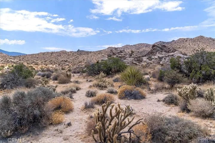13 Flat Branch, Mountain Center, California 92561