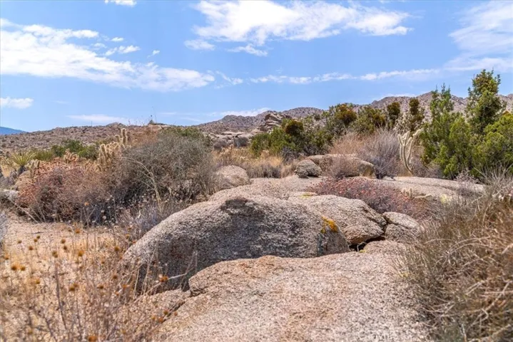 13 Flat Branch, Mountain Center, California 92561