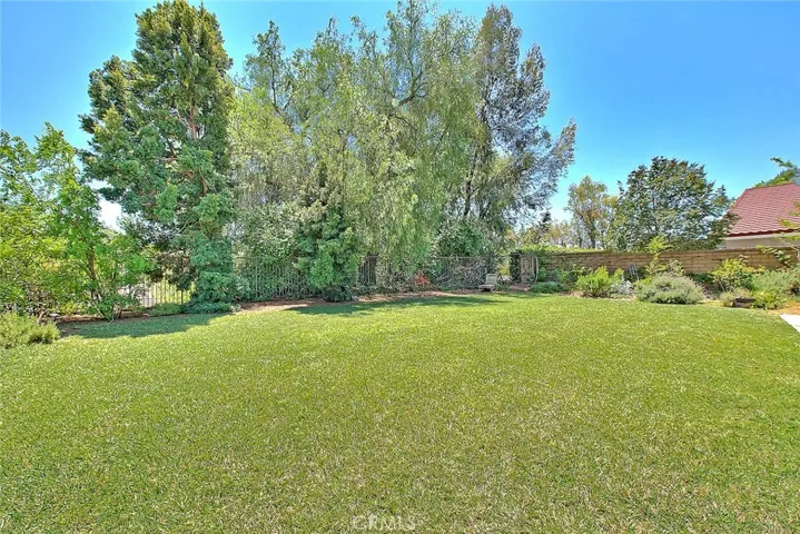 What a nice back yard!