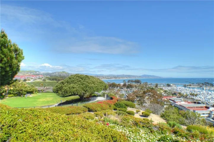 Dana Point Harbor a short distance from unit