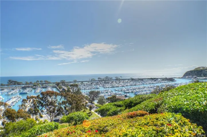 Dana Point Harbor a short distance from unit