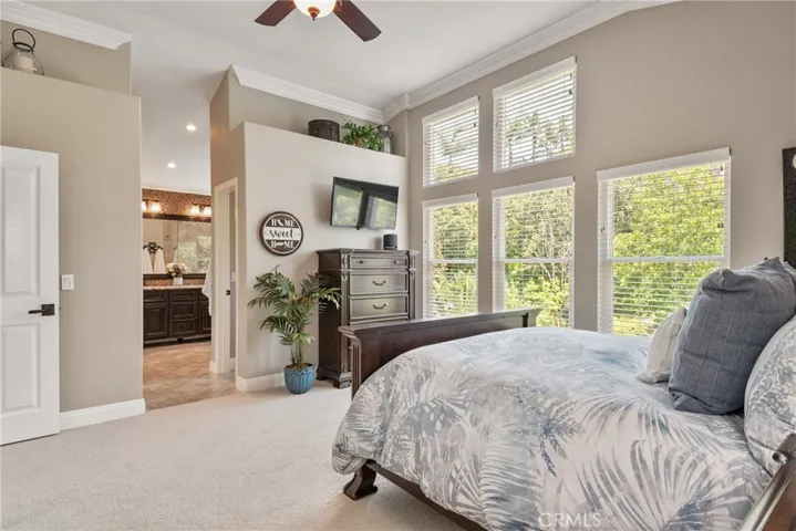 14 San Angelo, Foothill Ranch, California 92610