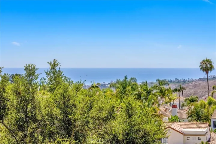 1058 Calle Del Cerro 1007, San Clemente, California 92672