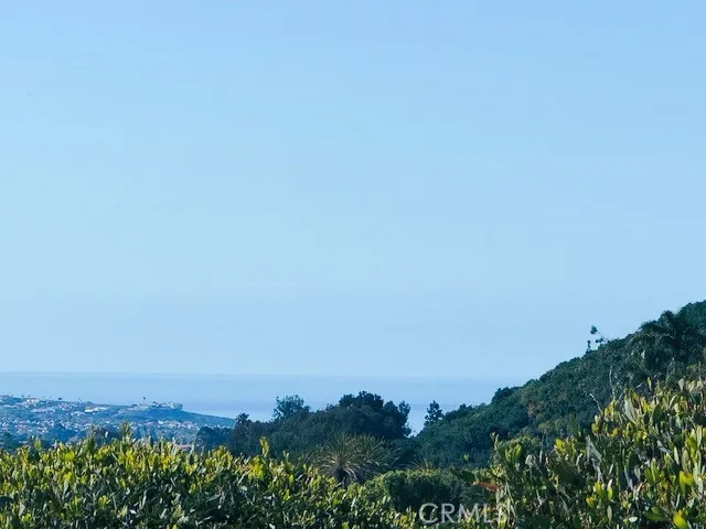 Panoramic View