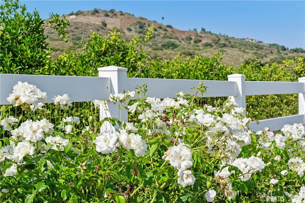 23505 Carancho Road, Temecula, California 92590 home-pic-43