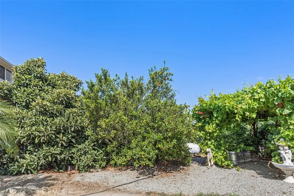 23505 Carancho Road, Temecula, California 92590 home-pic-61