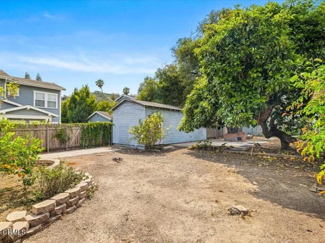 Avocado and fruit trees