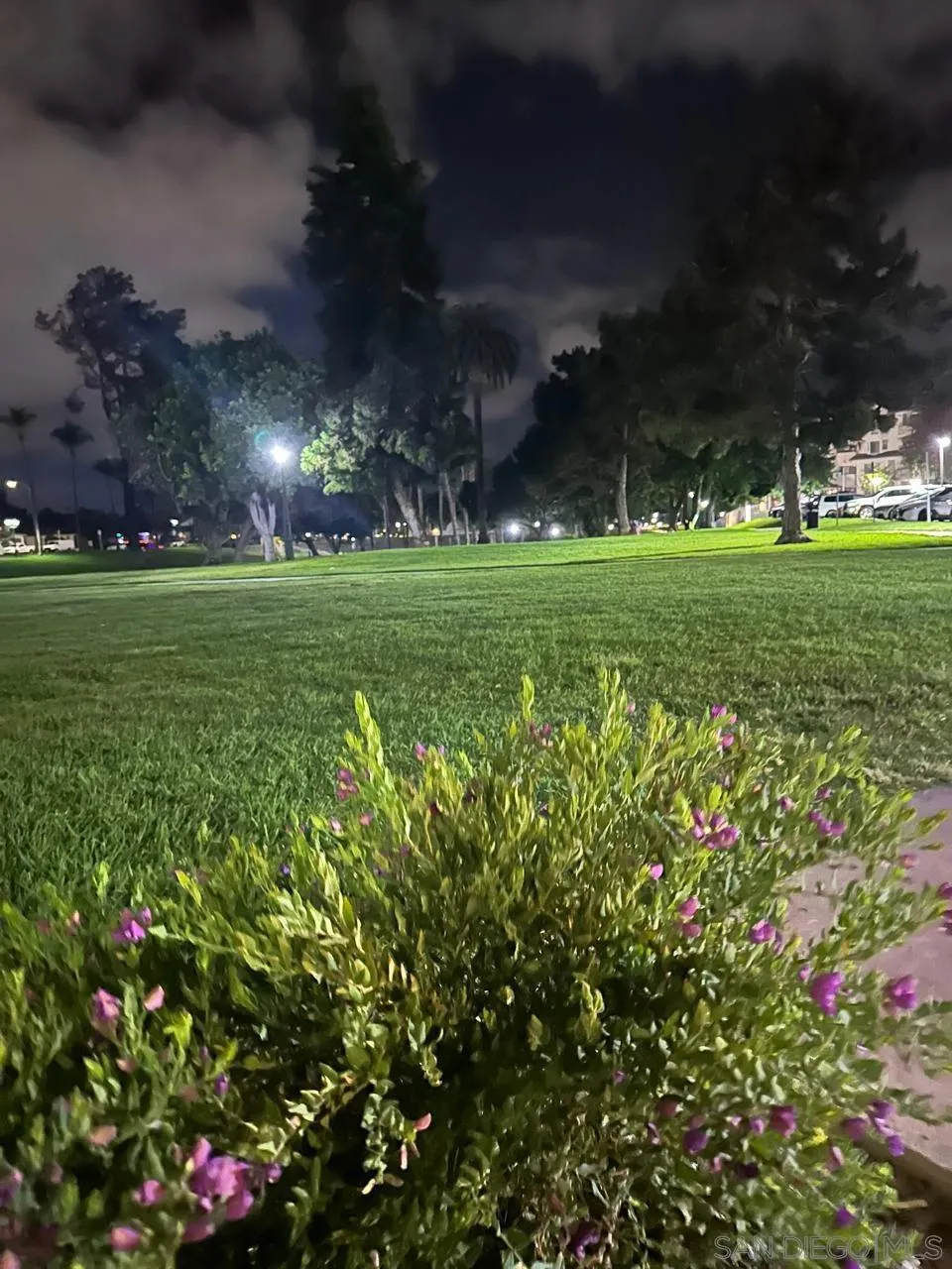376 Center St 304, Chula Vista, California 91910 home-pic-22