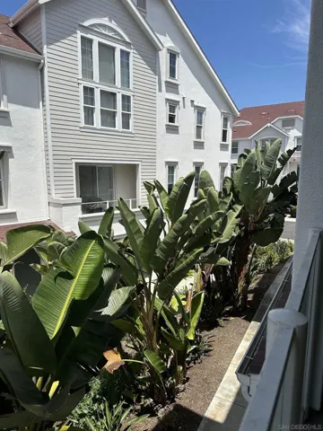 Patio/Deck
