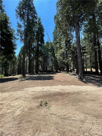 10510 Pine Dr, Wofford Heights, California 93285