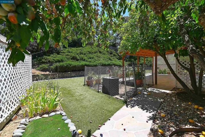 1325 Corona Pl, Walnut Creek, California 94597