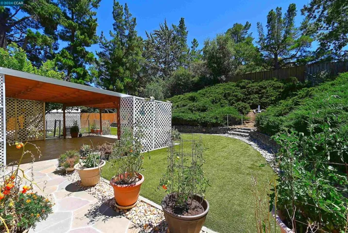 1325 Corona Pl, Walnut Creek, California 94597