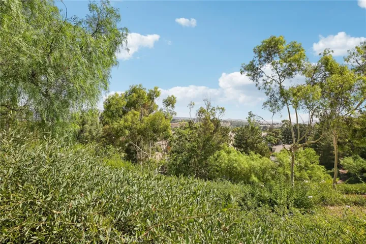 932 S Camerford Lane, Anaheim Hills, California 92808