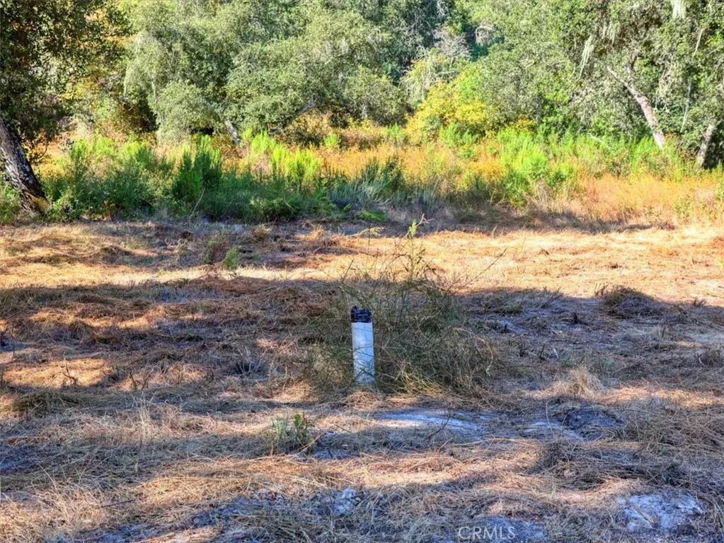 0 Huasna Road, Arroyo Grande, California 93420 — photo 4