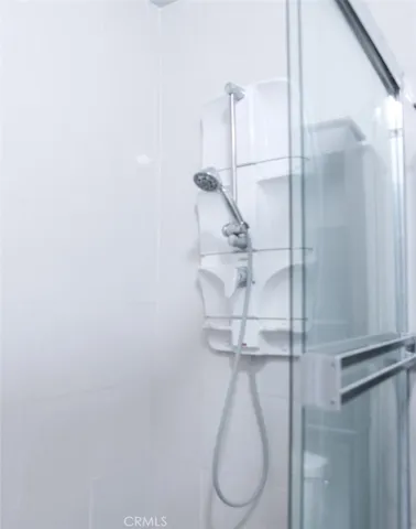 Master Shower and Bathroom
