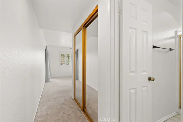 Hallway to Primary Bedroom and 2nd closet to the right