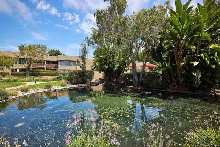 930 Via Mil Cumbres 33, None, California 92075