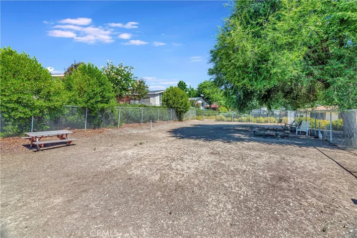 Fenced dog park.