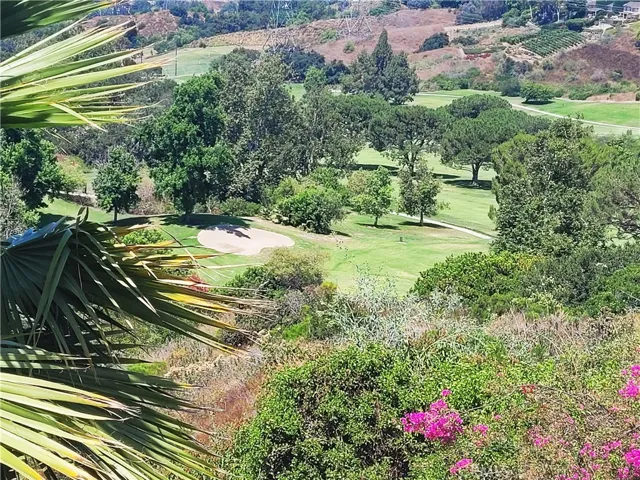 7005 E Country Club Lane, Anaheim Hills, California 92807