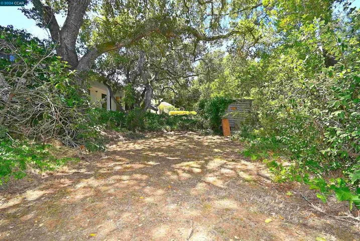 20 Tamarack Dr, Hillsborough, California 94010