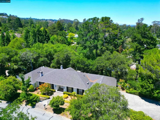 20 Tamarack Dr, Hillsborough, California 94010