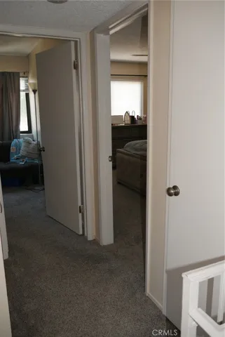 2nd Floor Hallway: newer carpeting, large storage closet at right.