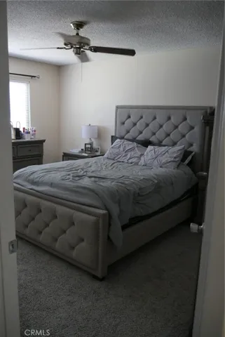 2nd Floor, Primary Bedroom: large room, newer carpeting, ceiling fan, large window, nice blinds.