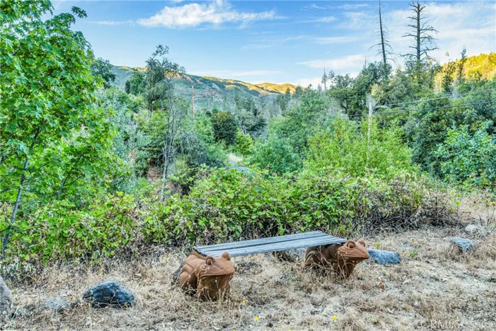 11790 Anderson Springs Road, Middletown, California 95461