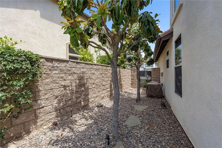 Sizable side yard with mature magnolia trees.