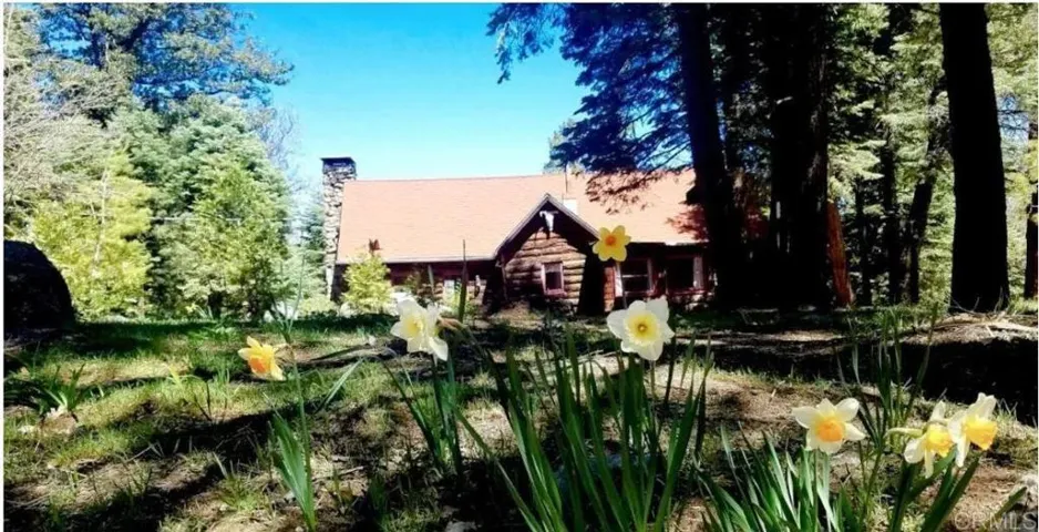 21950 Crestline Road, Palomar Mountain, California 92060