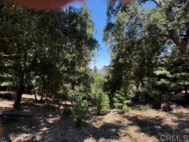21950 Crestline Road, Palomar Mountain, California 92060
