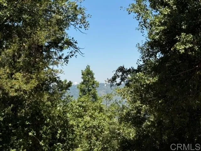 21950 Crestline Road, Palomar Mountain, California 92060