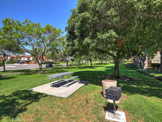Huge Park- picnic/bbq